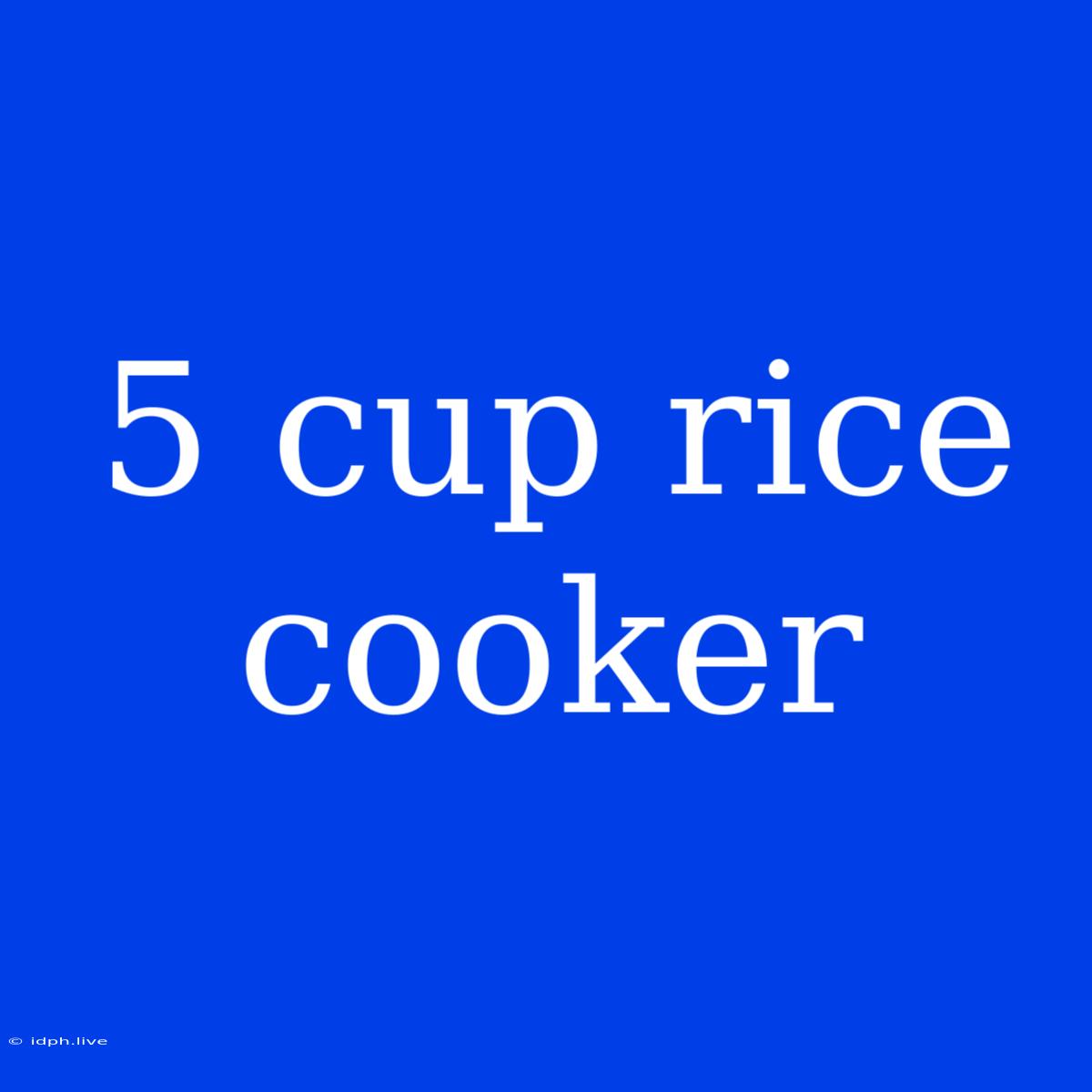 5 Cup Rice Cooker