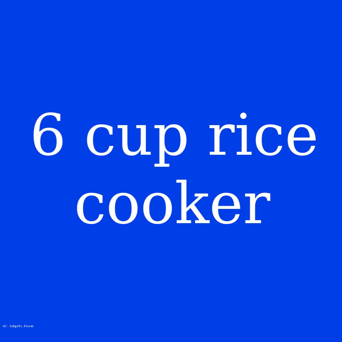 6 Cup Rice Cooker