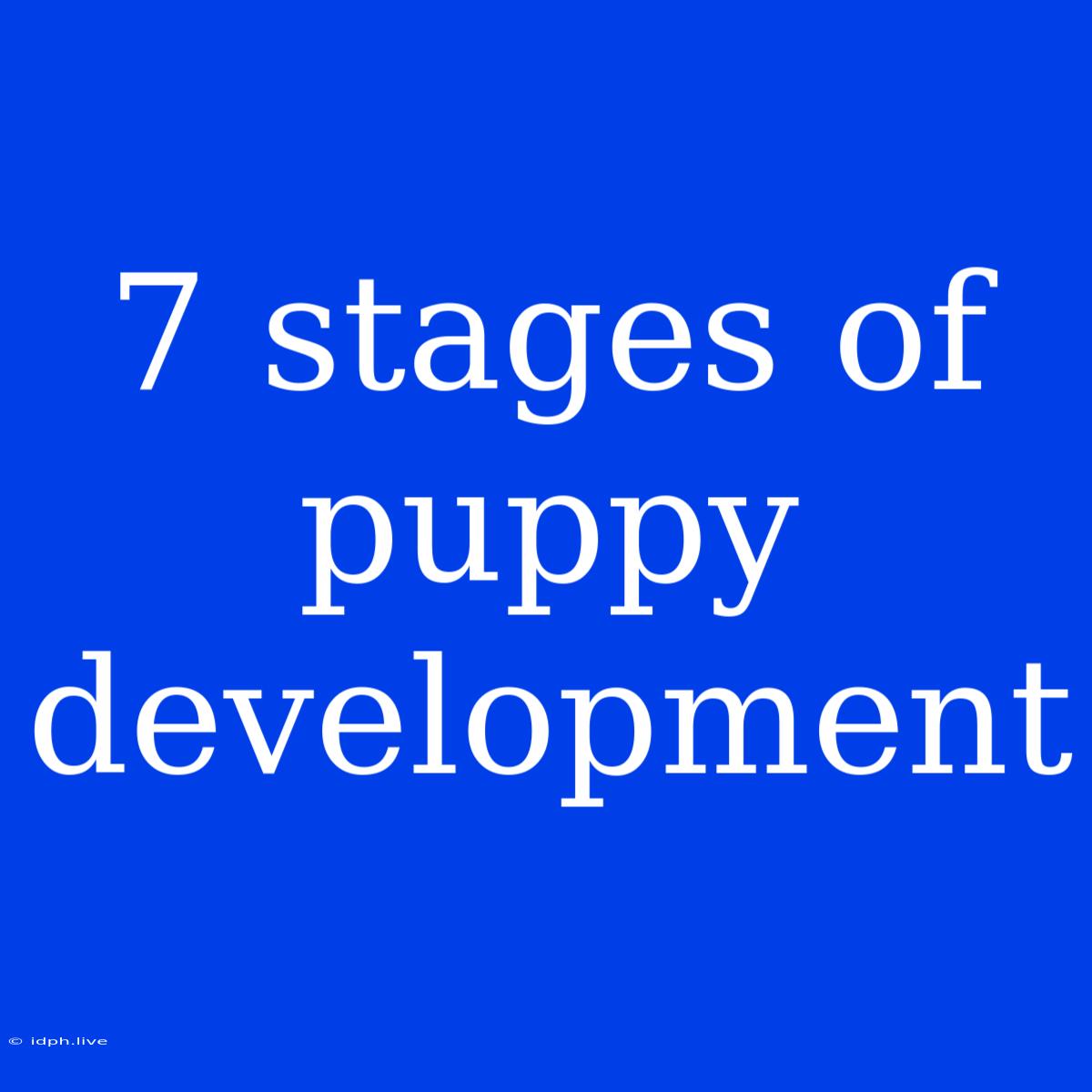 7 Stages Of Puppy Development