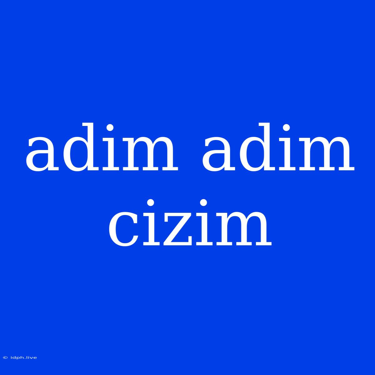 Adim Adim Cizim