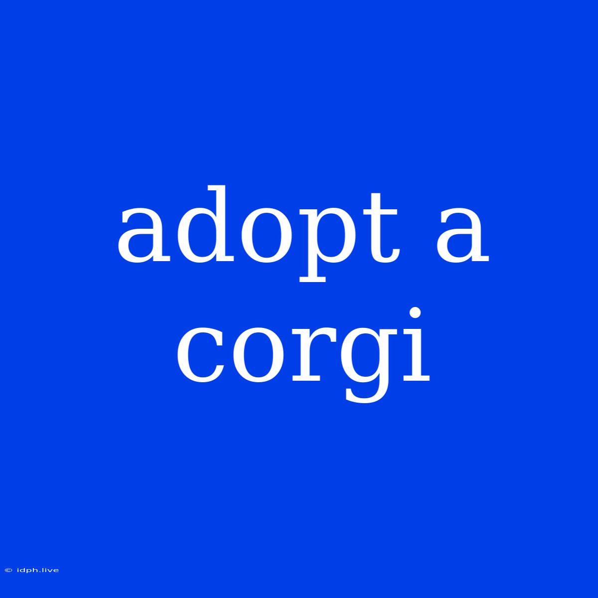 Adopt A Corgi