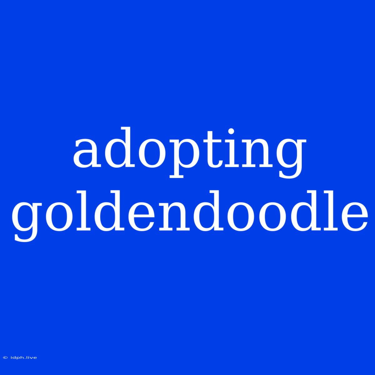 Adopting Goldendoodle