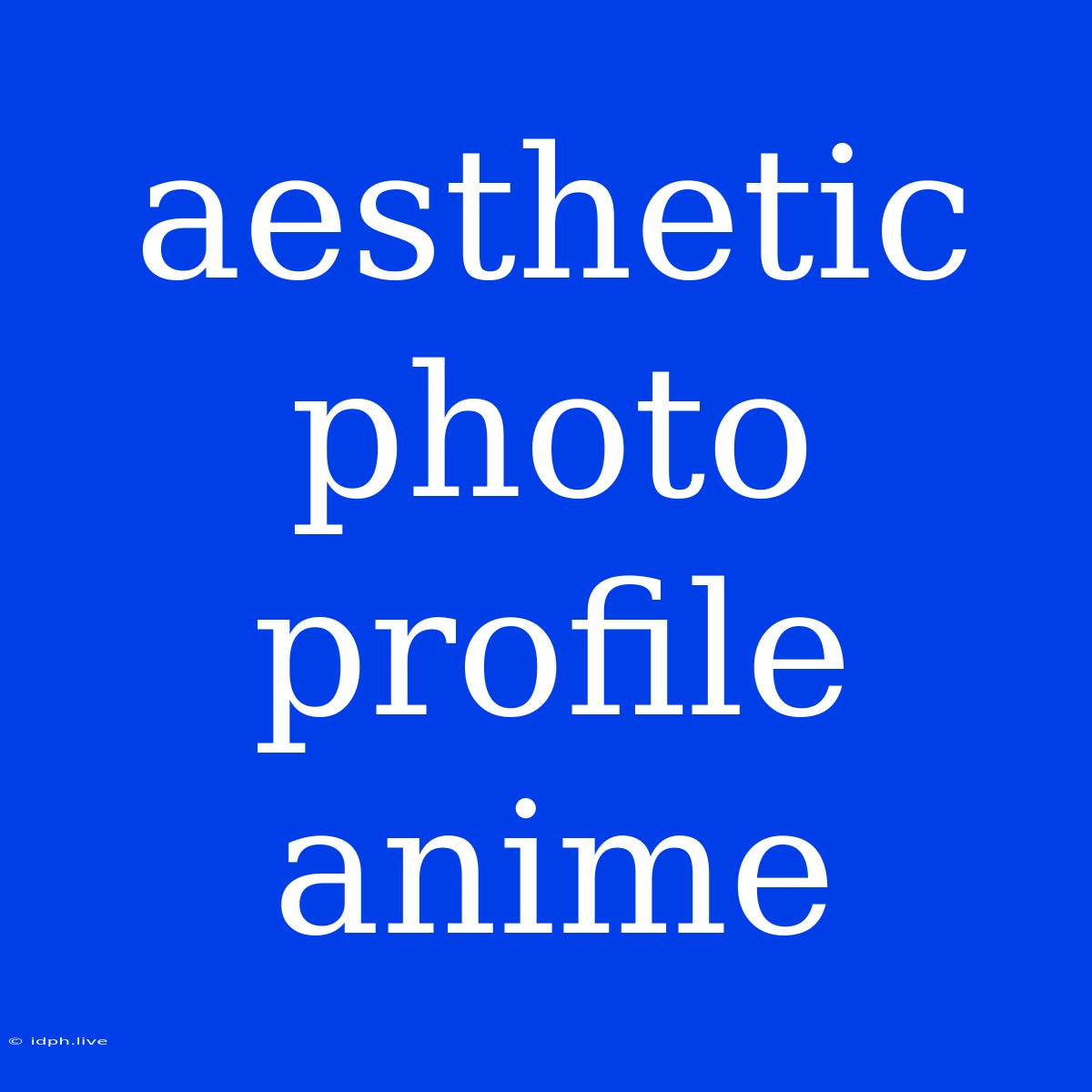 Aesthetic Photo Profile Anime