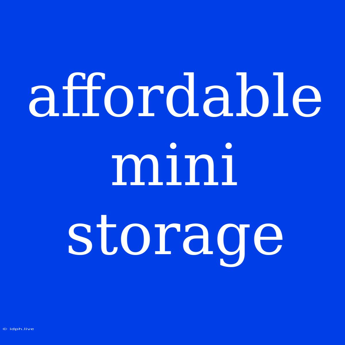 Affordable Mini Storage