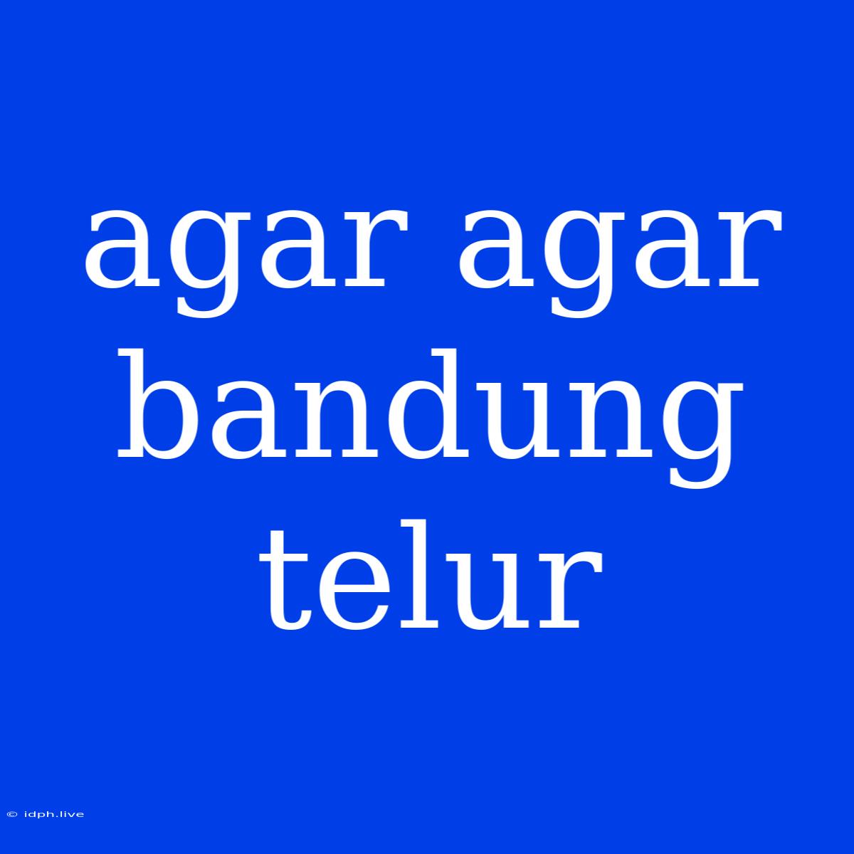 Agar Agar Bandung Telur