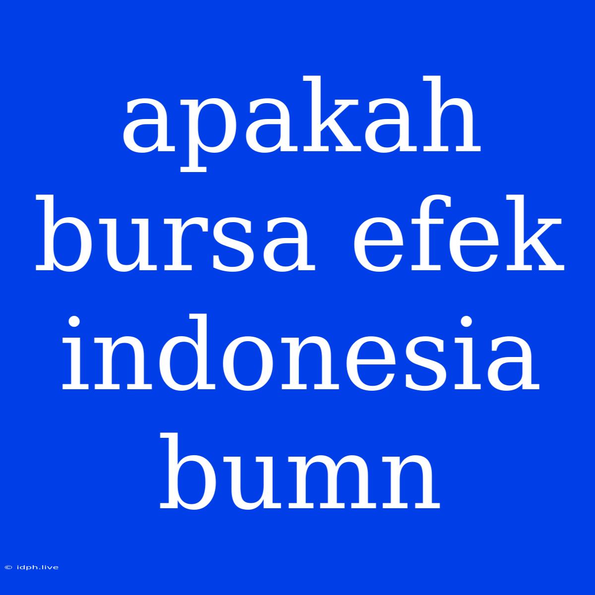 Apakah Bursa Efek Indonesia Bumn