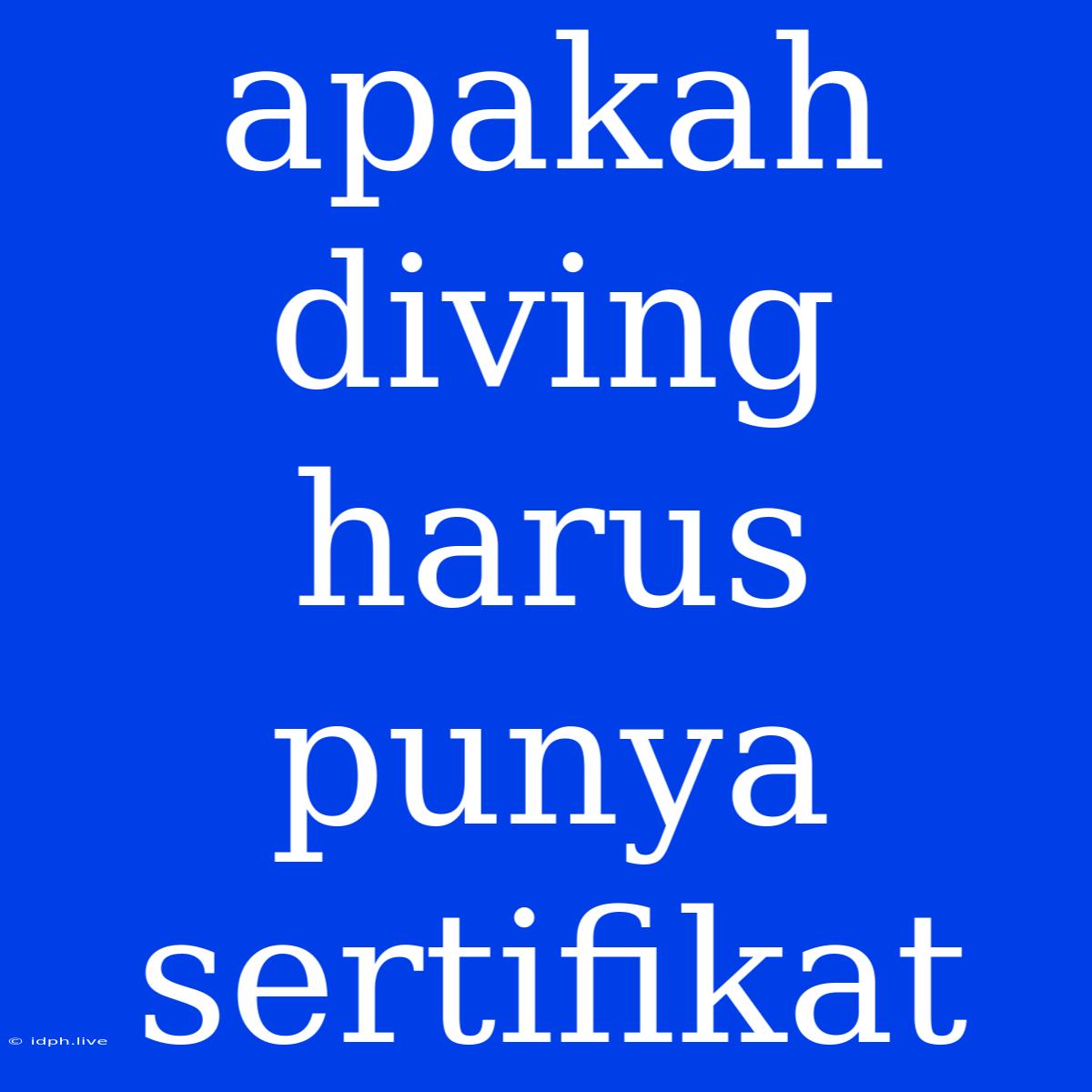 Apakah Diving Harus Punya Sertifikat