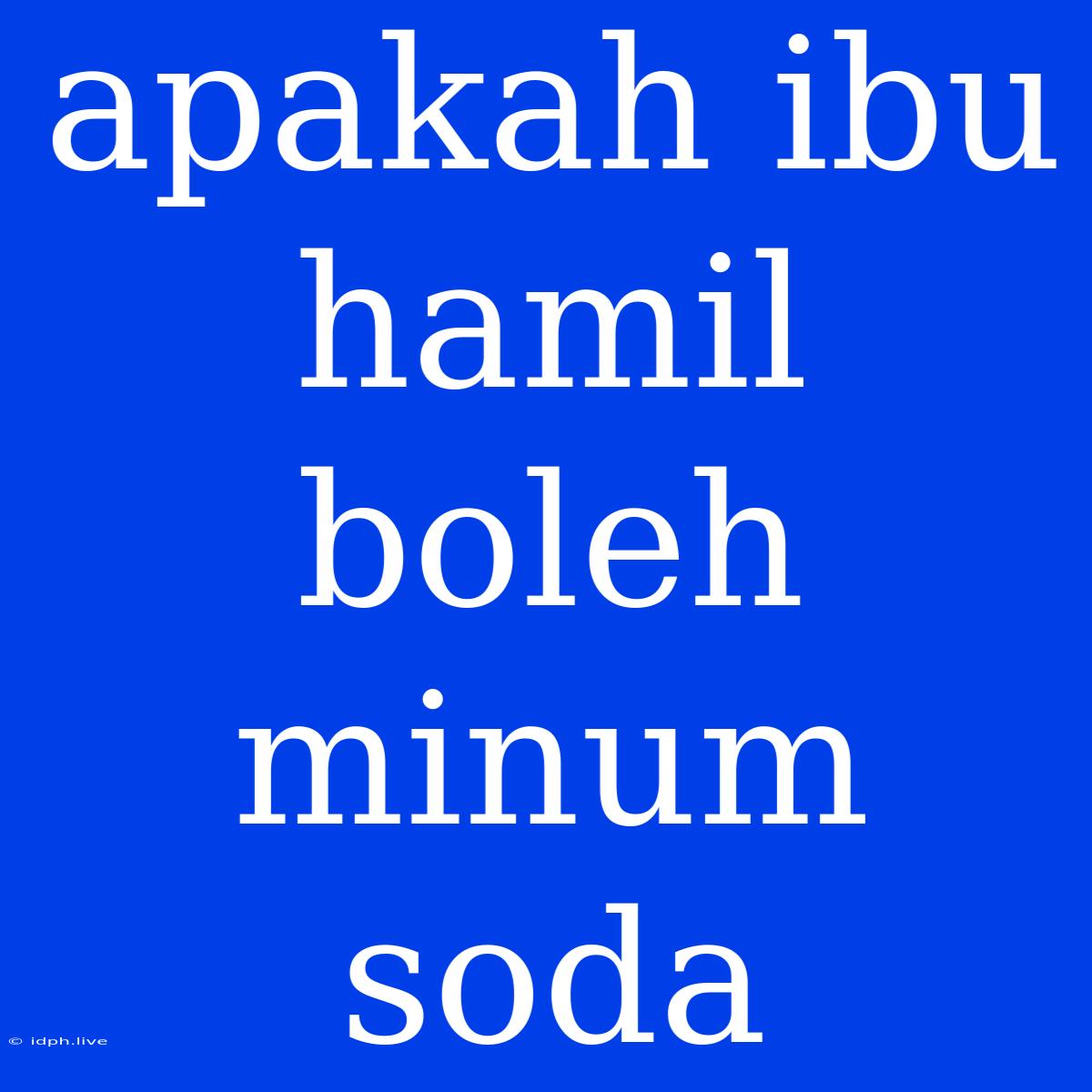 Apakah Ibu Hamil Boleh Minum Soda