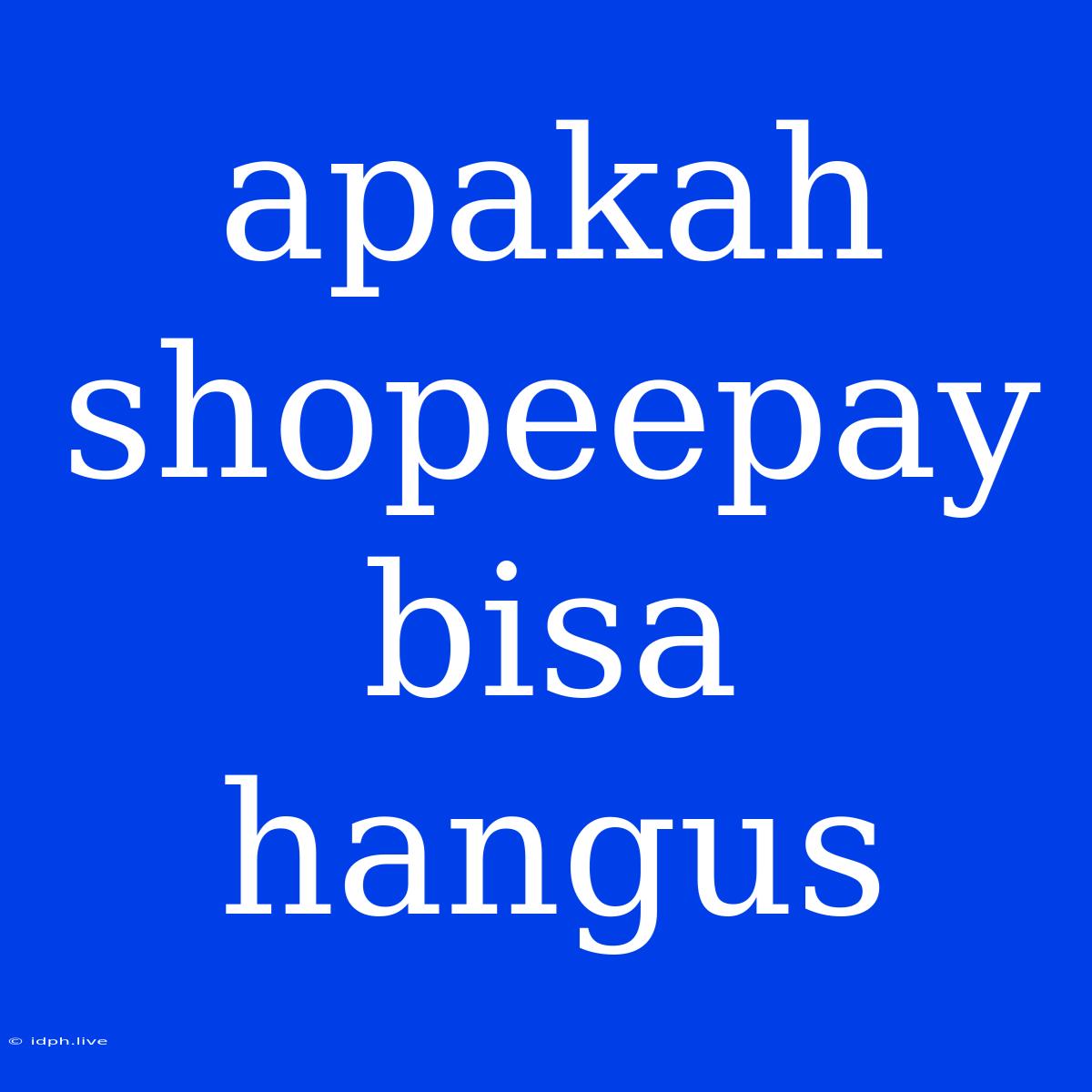 Apakah Shopeepay Bisa Hangus