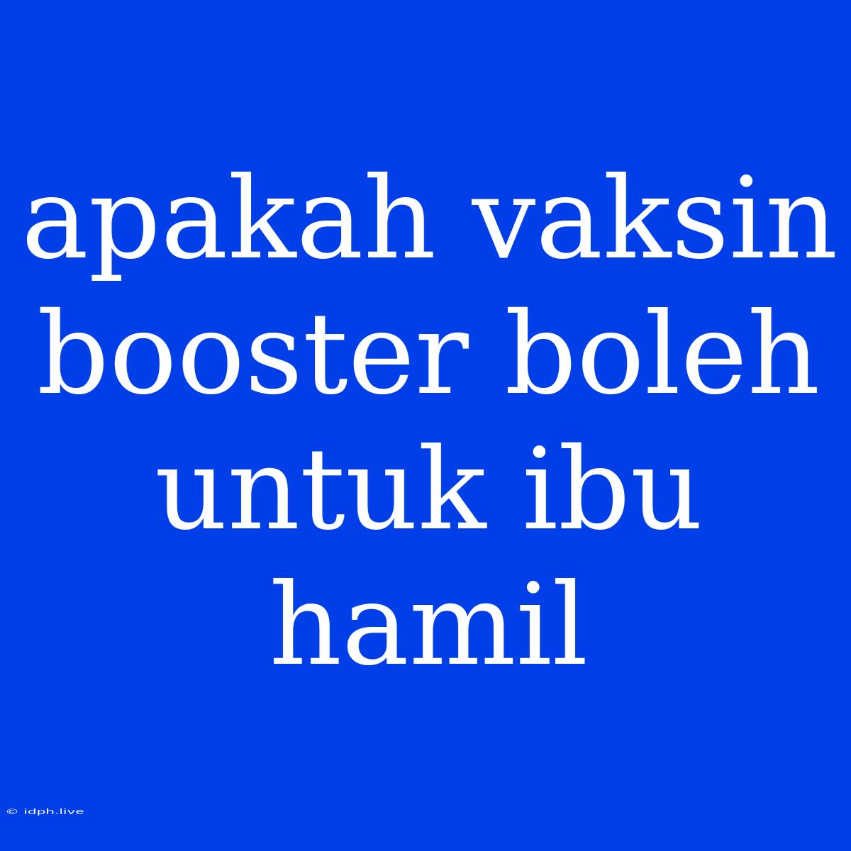 Apakah Vaksin Booster Boleh Untuk Ibu Hamil