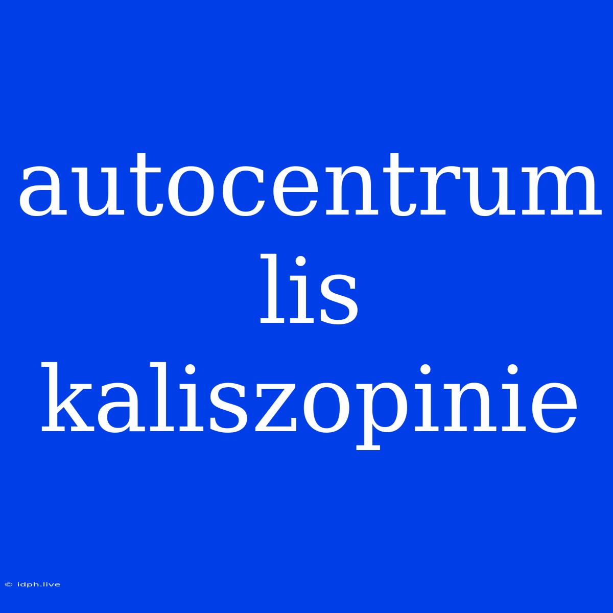 Autocentrum Lis Kaliszopinie