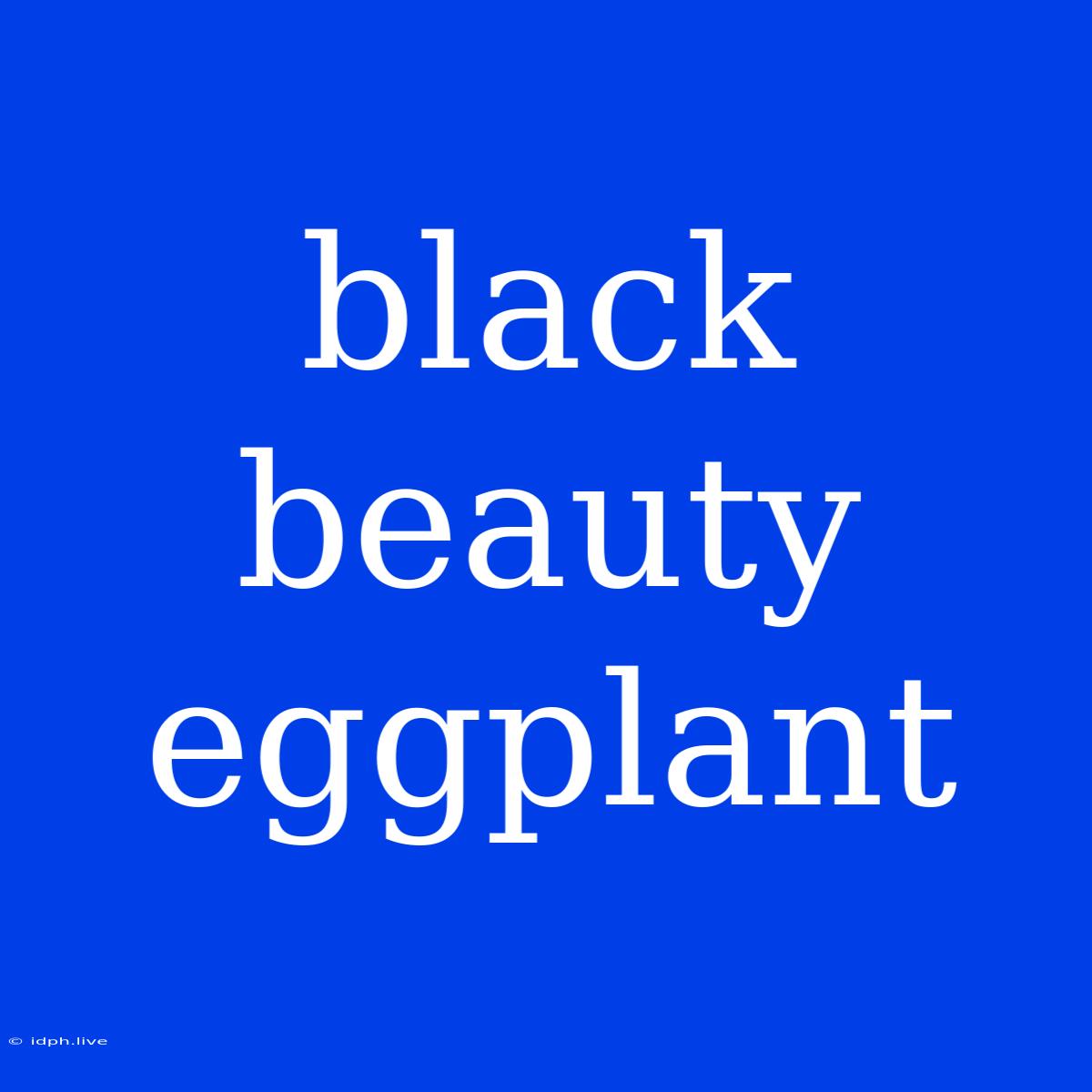 Black Beauty Eggplant