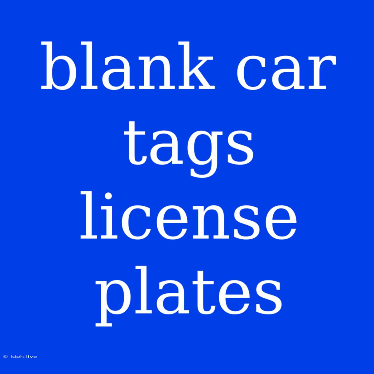 Blank Car Tags License Plates