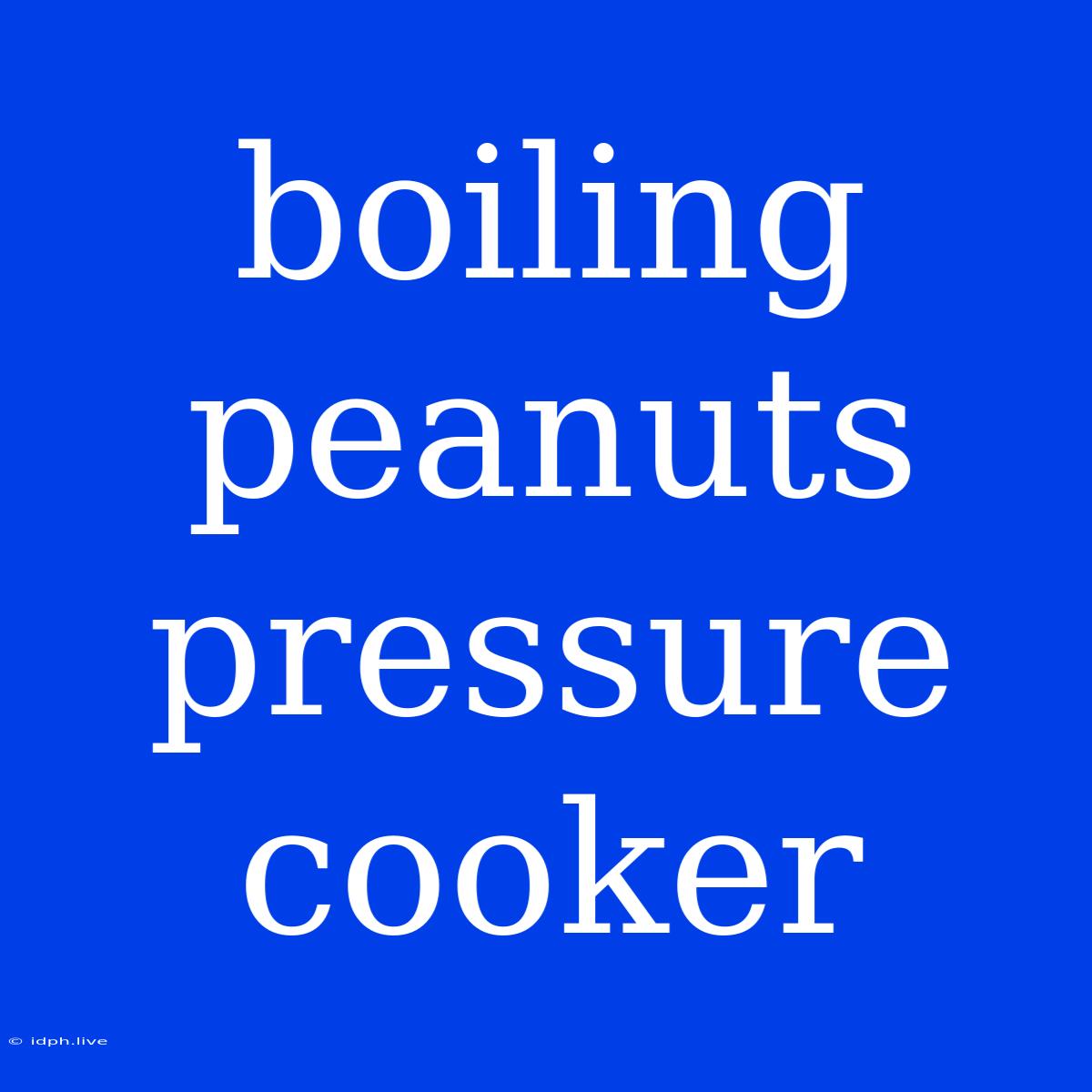 Boiling Peanuts Pressure Cooker