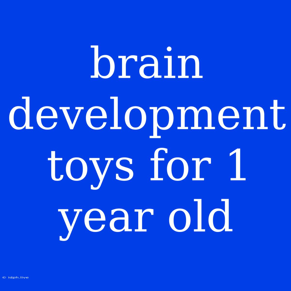 Brain Development Toys For 1 Year Old