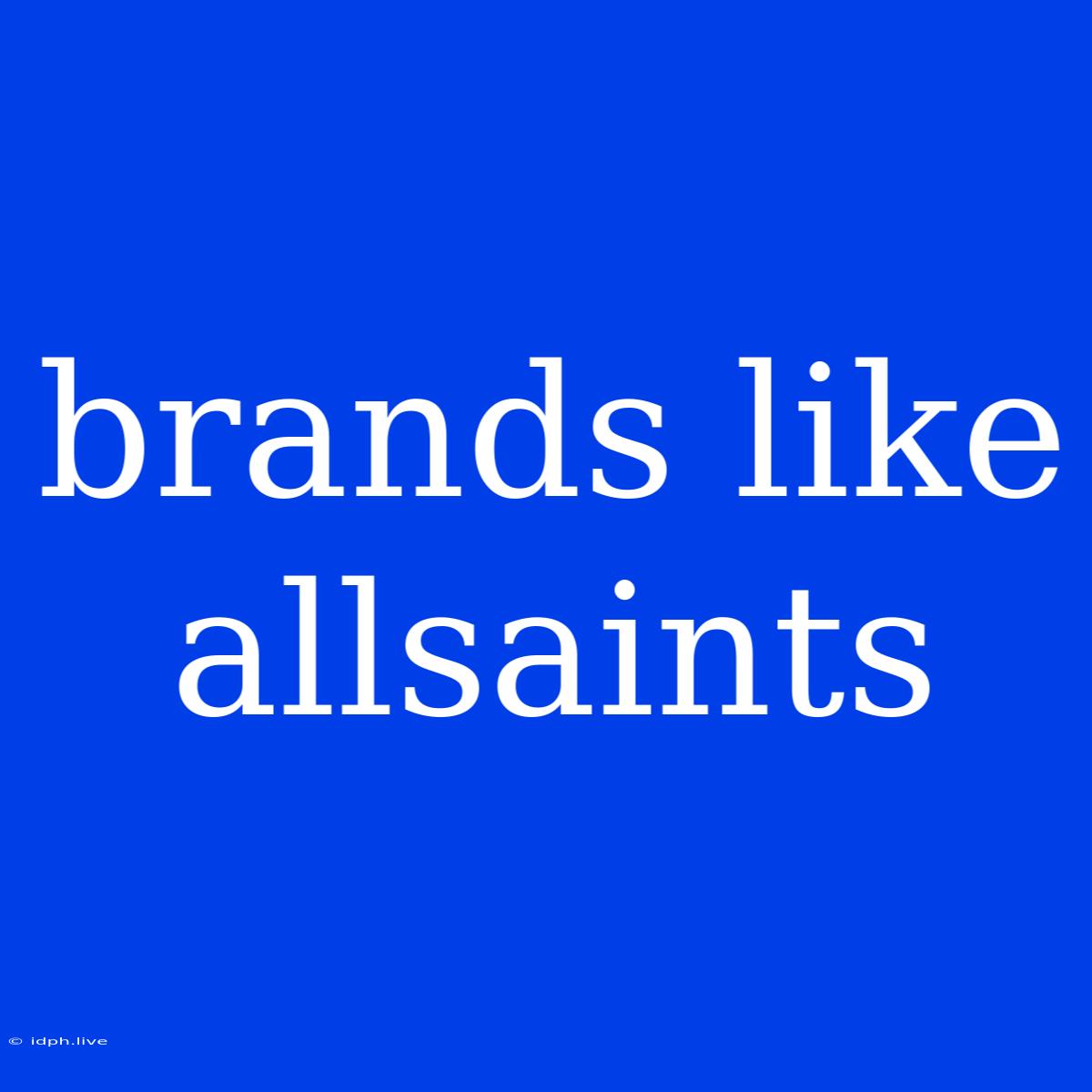 Brands Like Allsaints