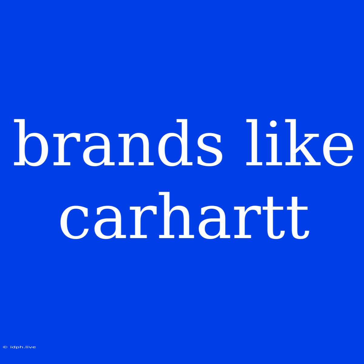 Brands Like Carhartt