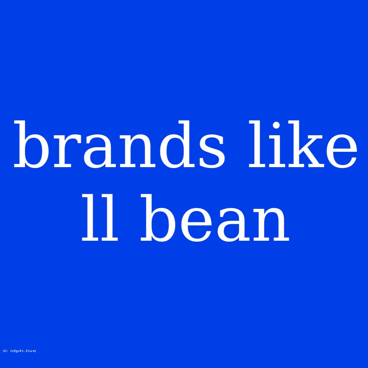 Brands Like Ll Bean