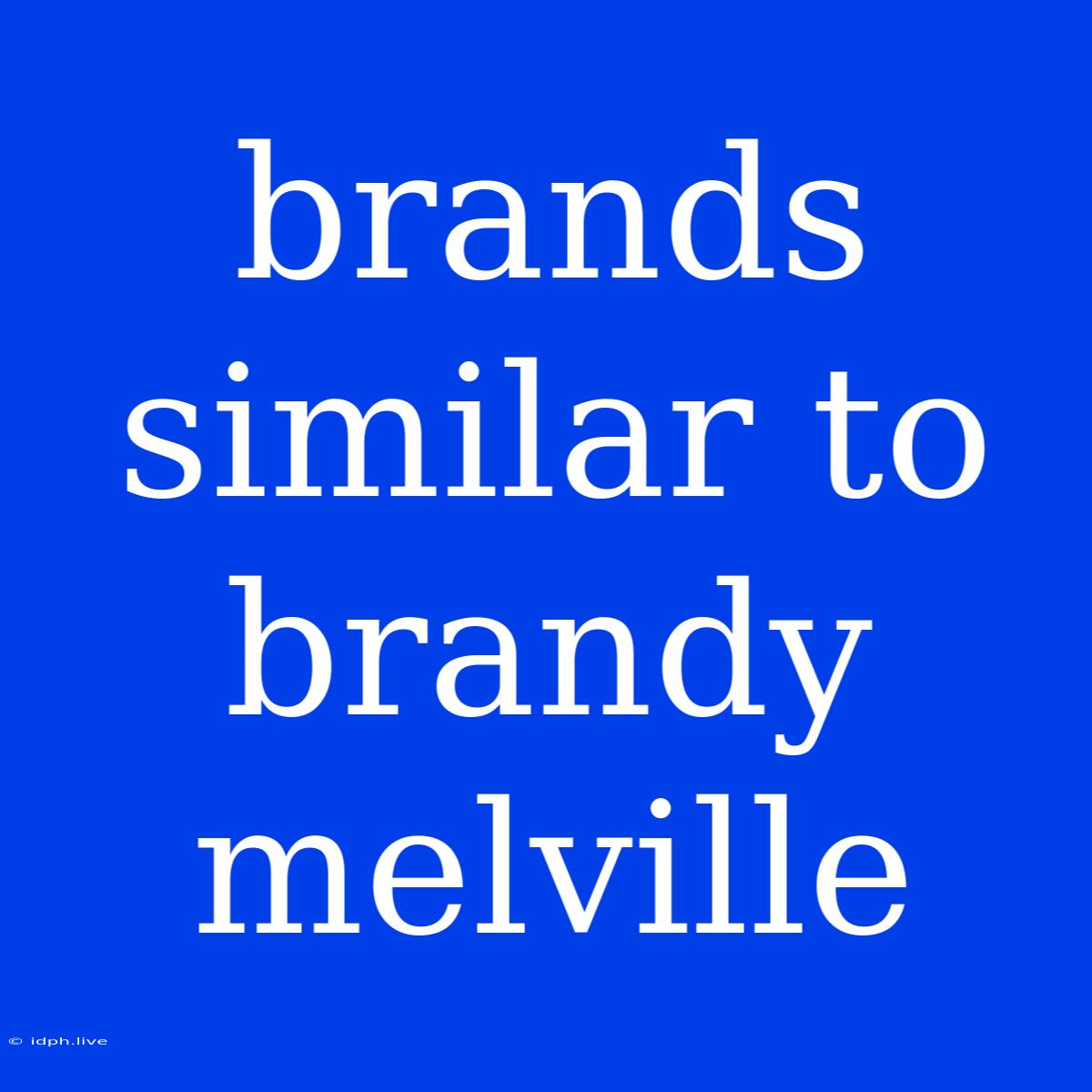 Brands Similar To Brandy Melville