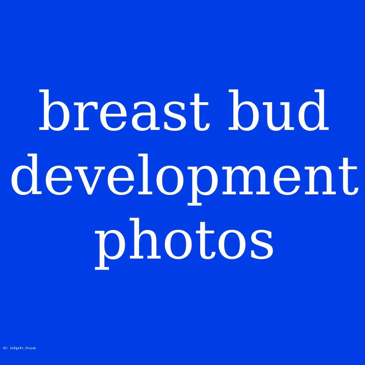 Breast Bud Development Photos