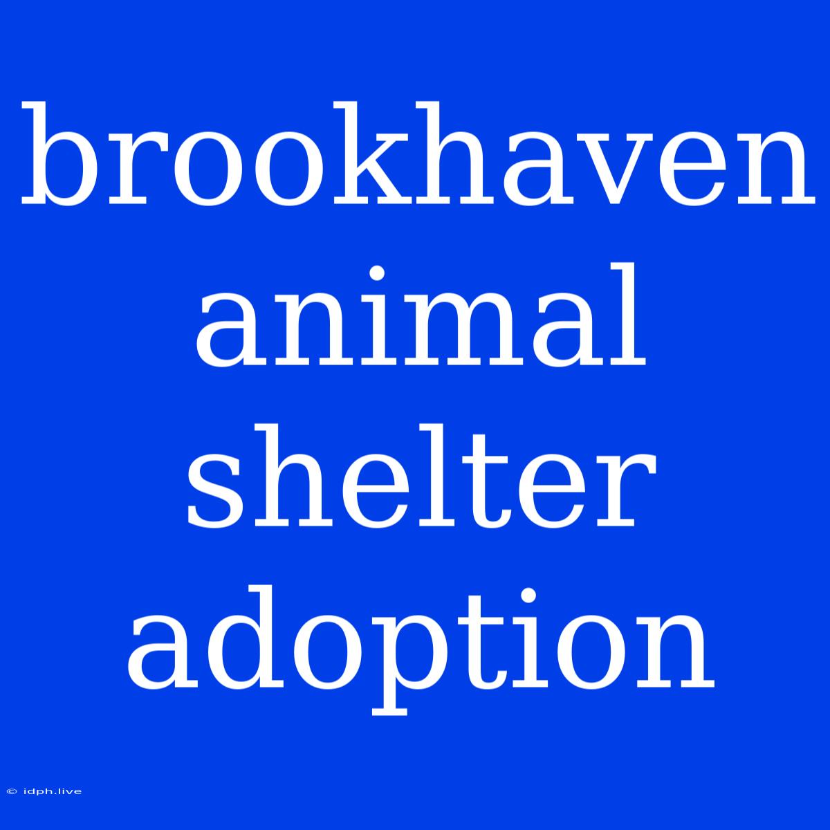 Brookhaven Animal Shelter Adoption