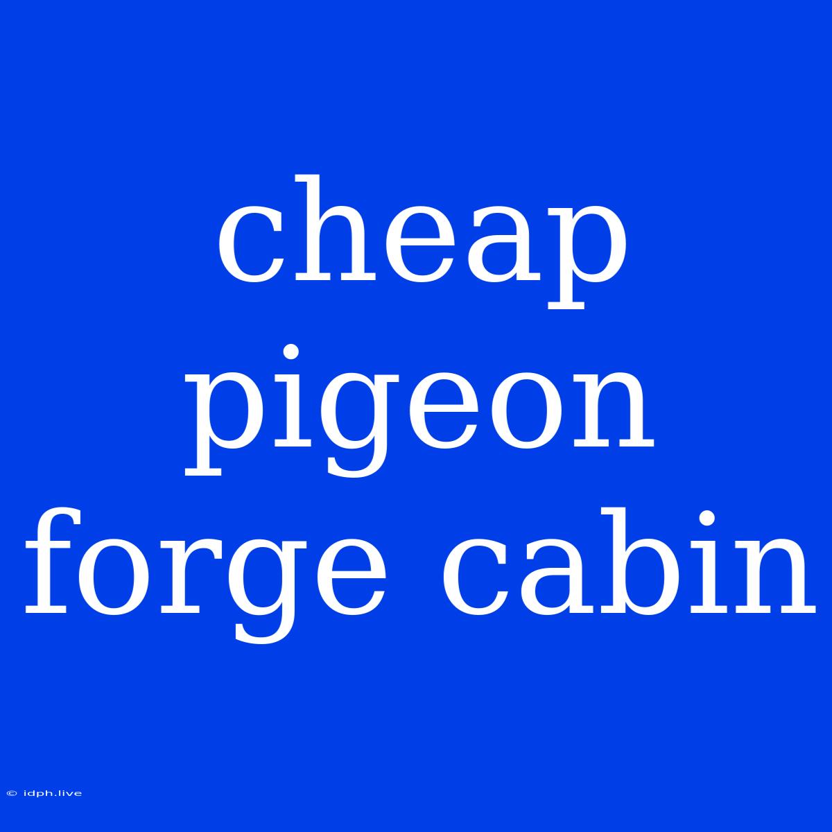 Cheap Pigeon Forge Cabin