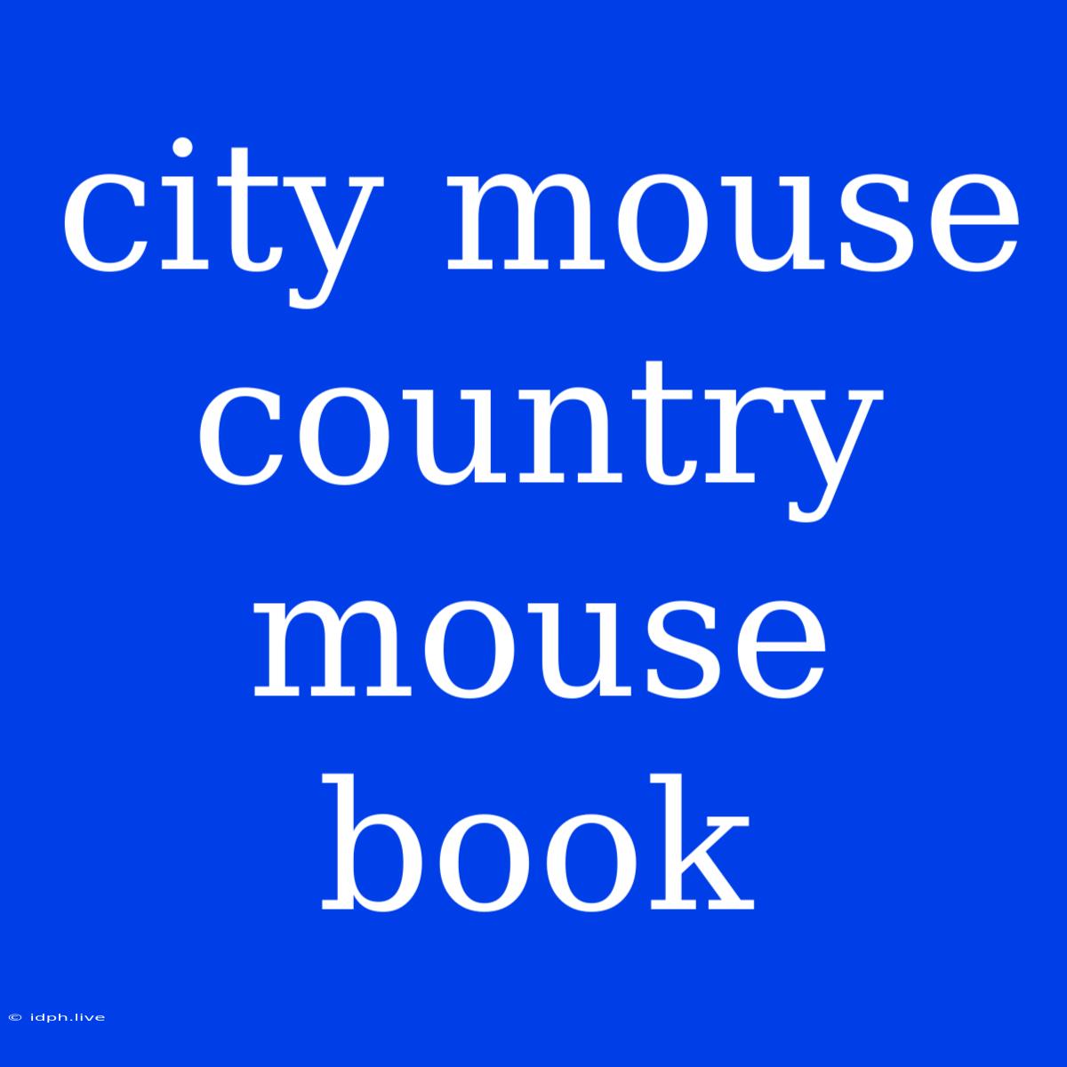 City Mouse Country Mouse Book