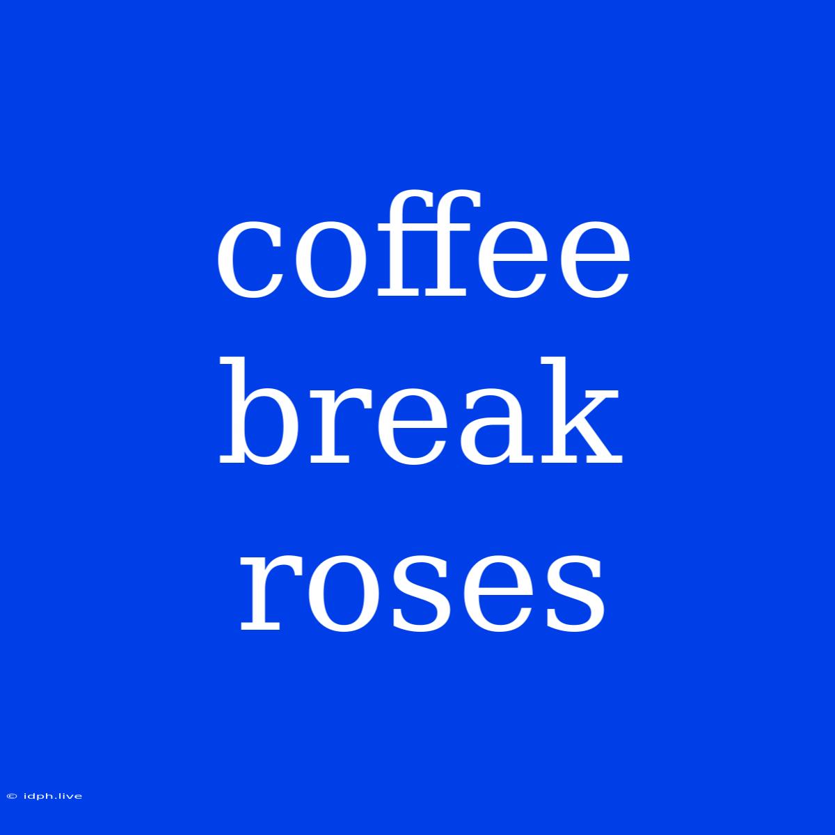 Coffee Break Roses