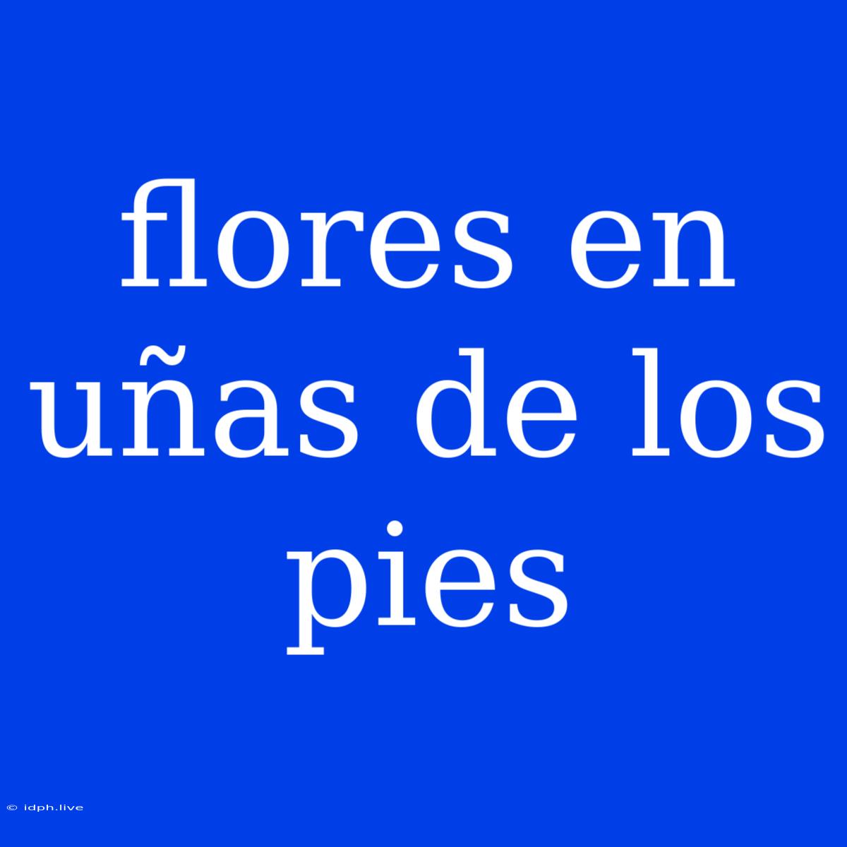 Flores En Uñas De Los Pies