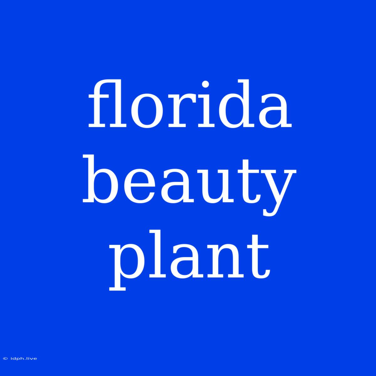 Florida Beauty Plant