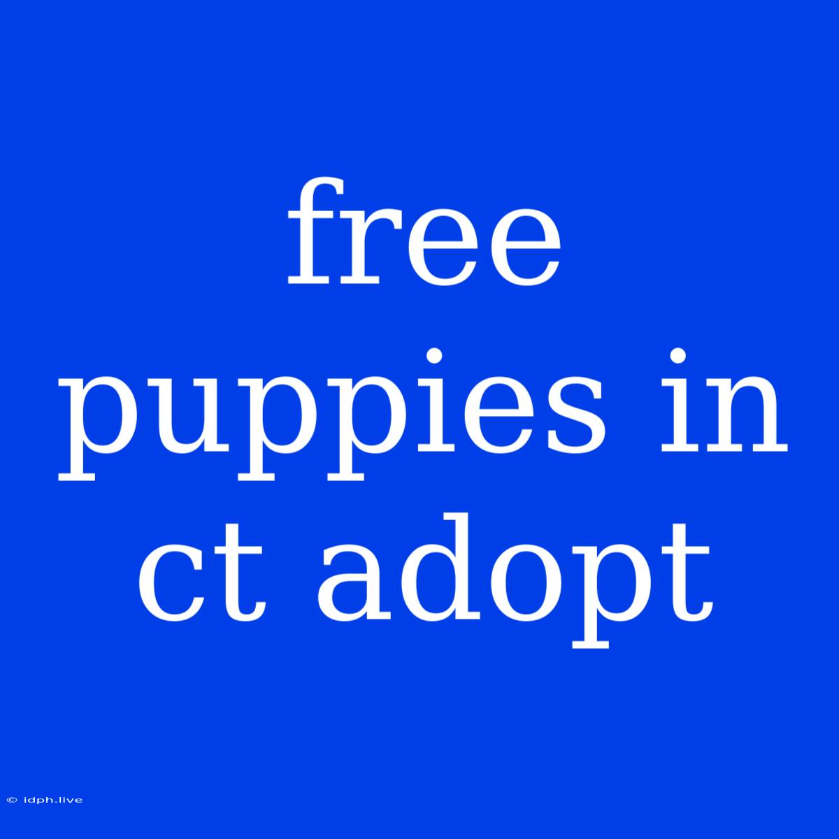 Free Puppies In Ct Adopt