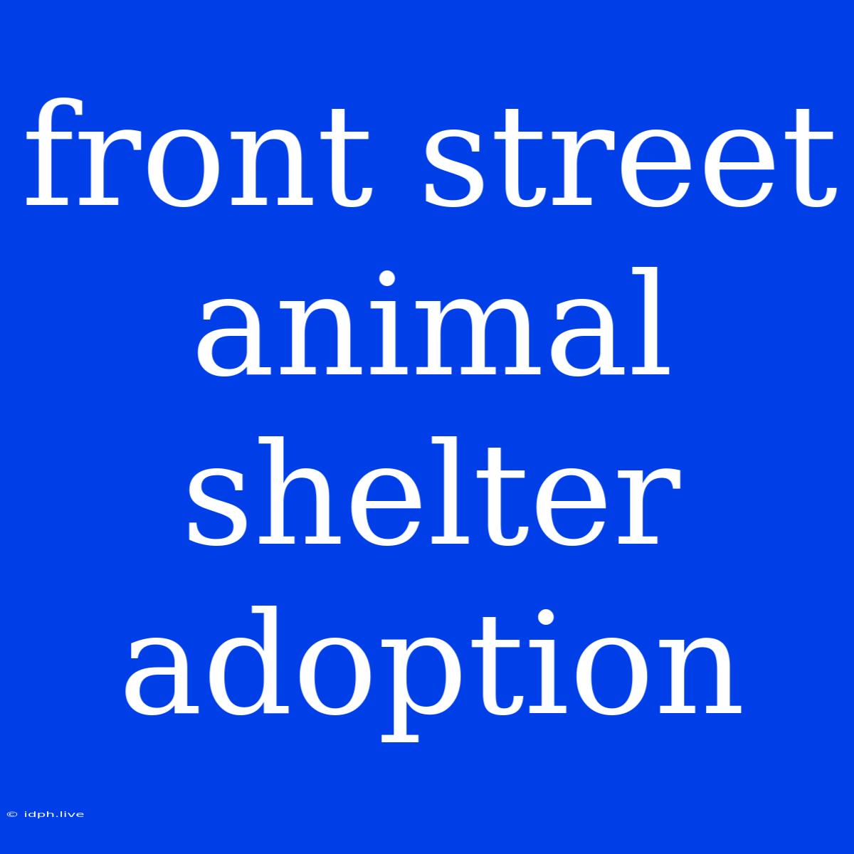 Front Street Animal Shelter Adoption