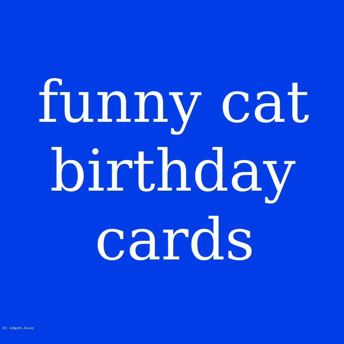 Funny Cat Birthday Cards