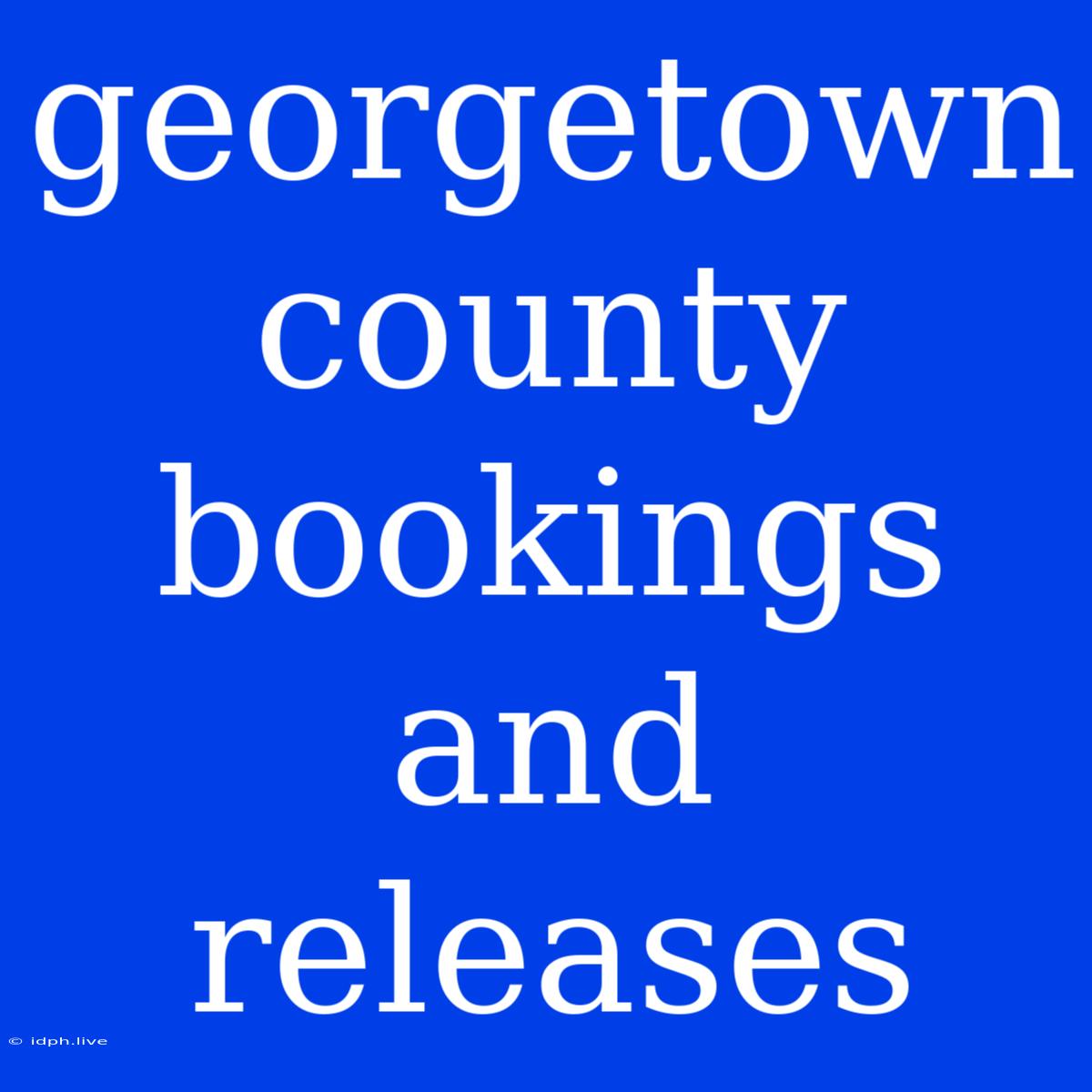 Georgetown County Bookings And Releases