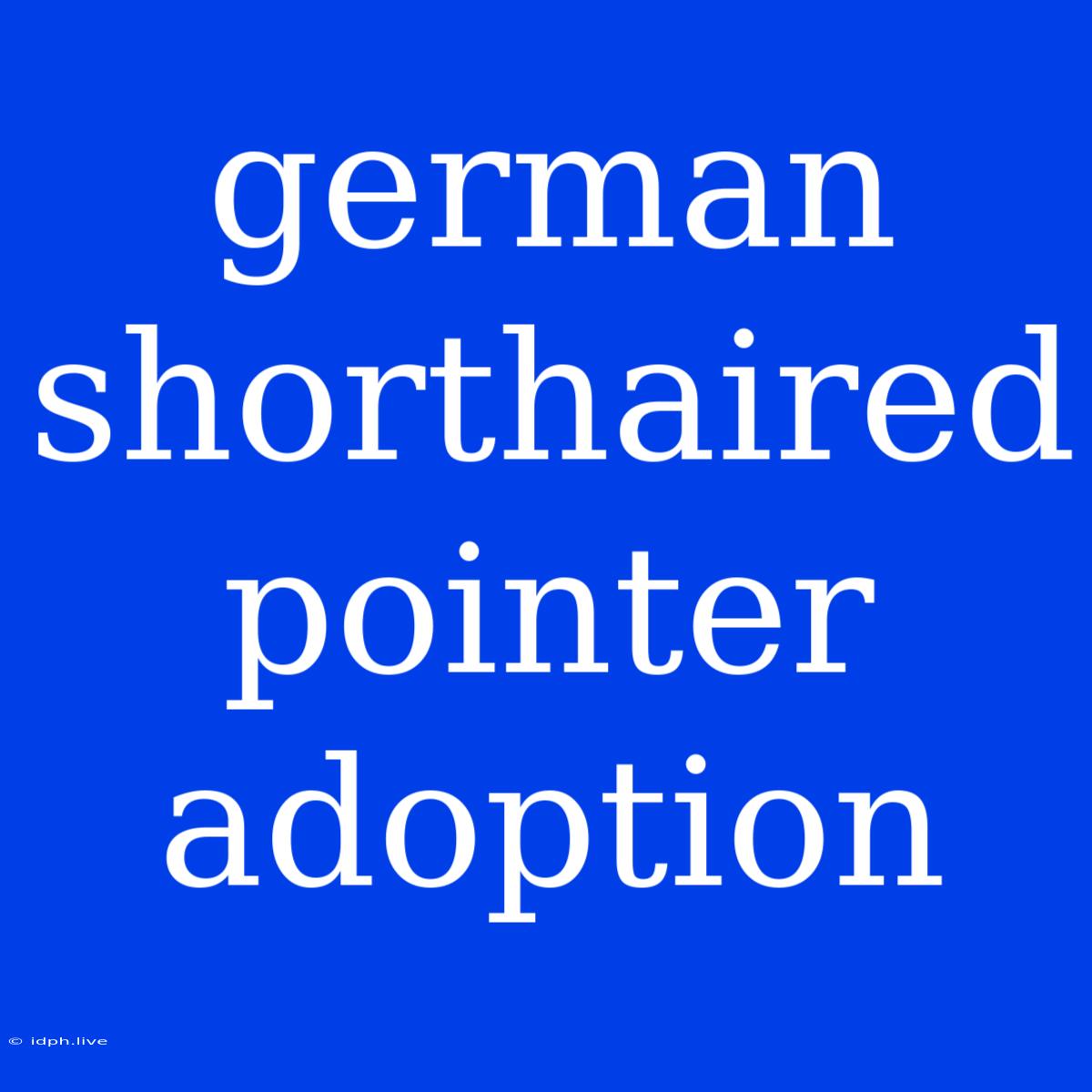 German Shorthaired Pointer Adoption