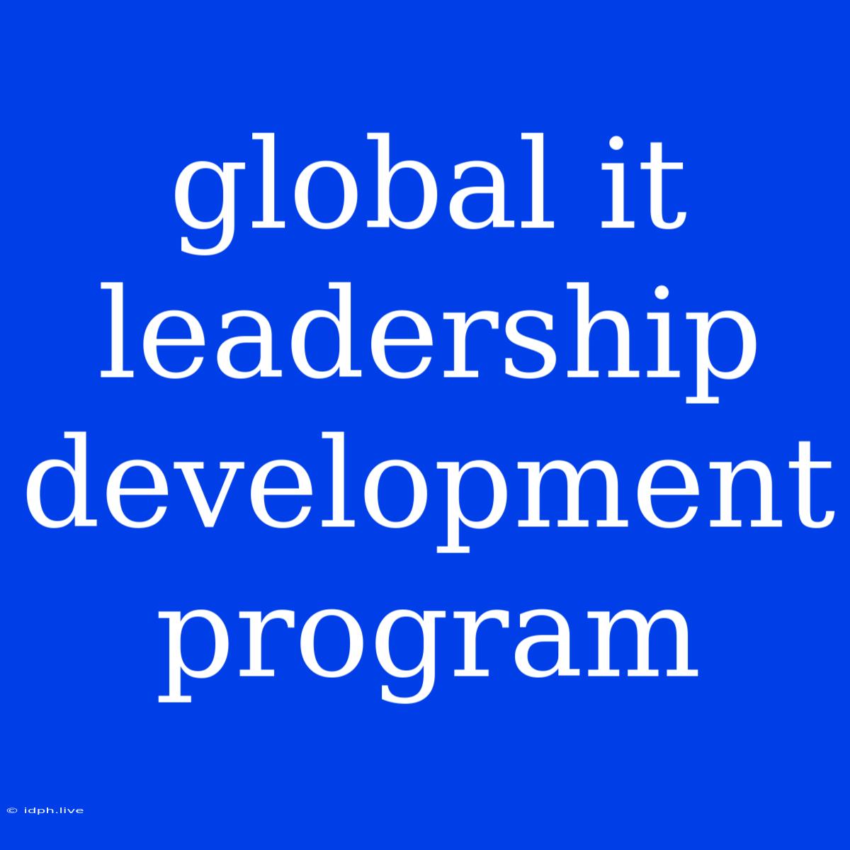 Global It Leadership Development Program