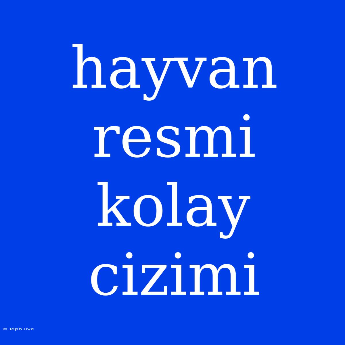 Hayvan Resmi Kolay Cizimi