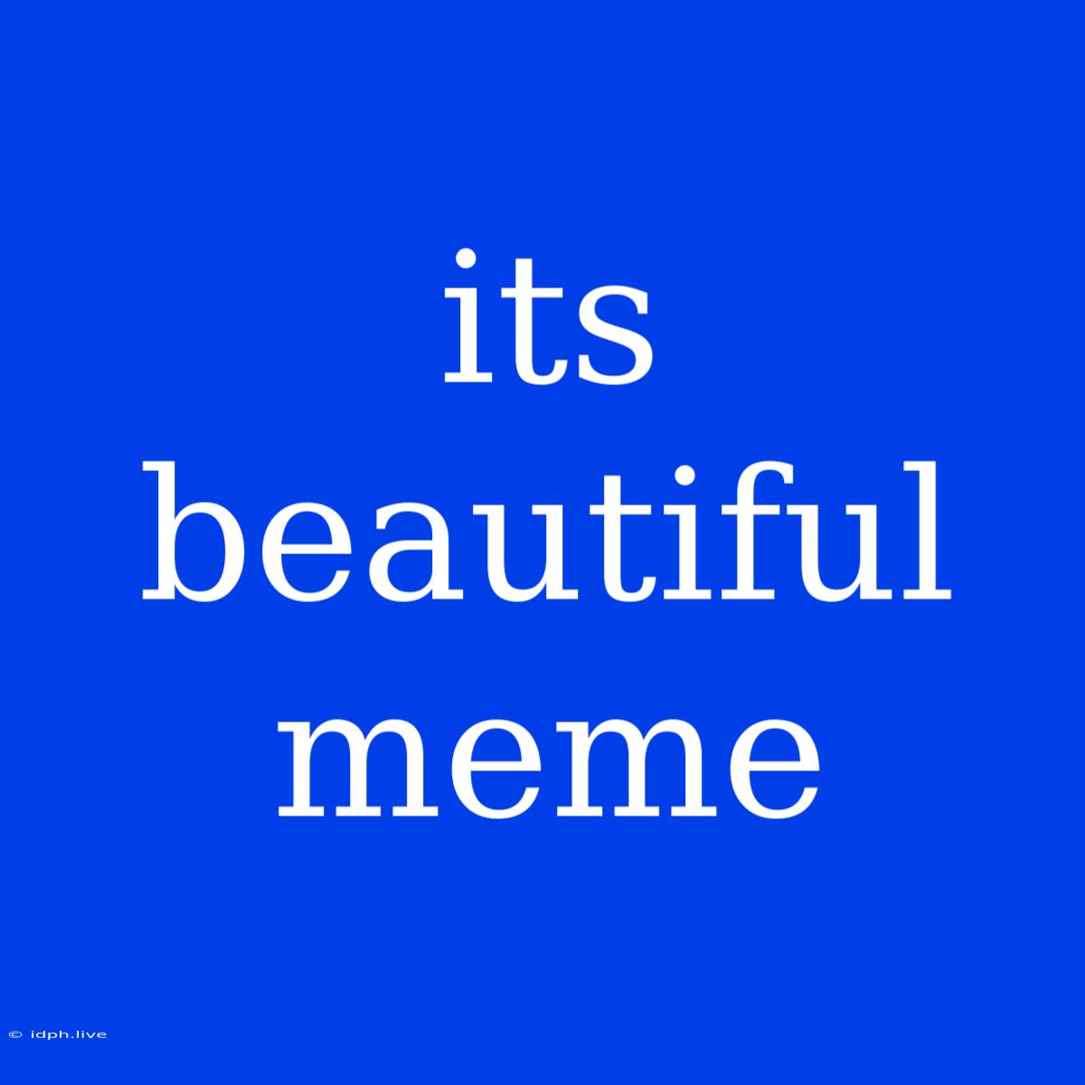 Its Beautiful Meme