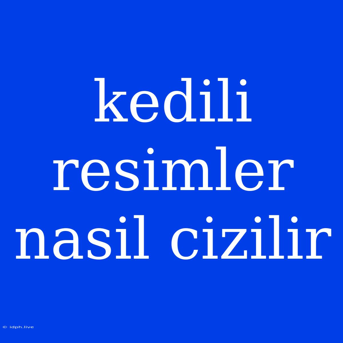 Kedili Resimler Nasil Cizilir