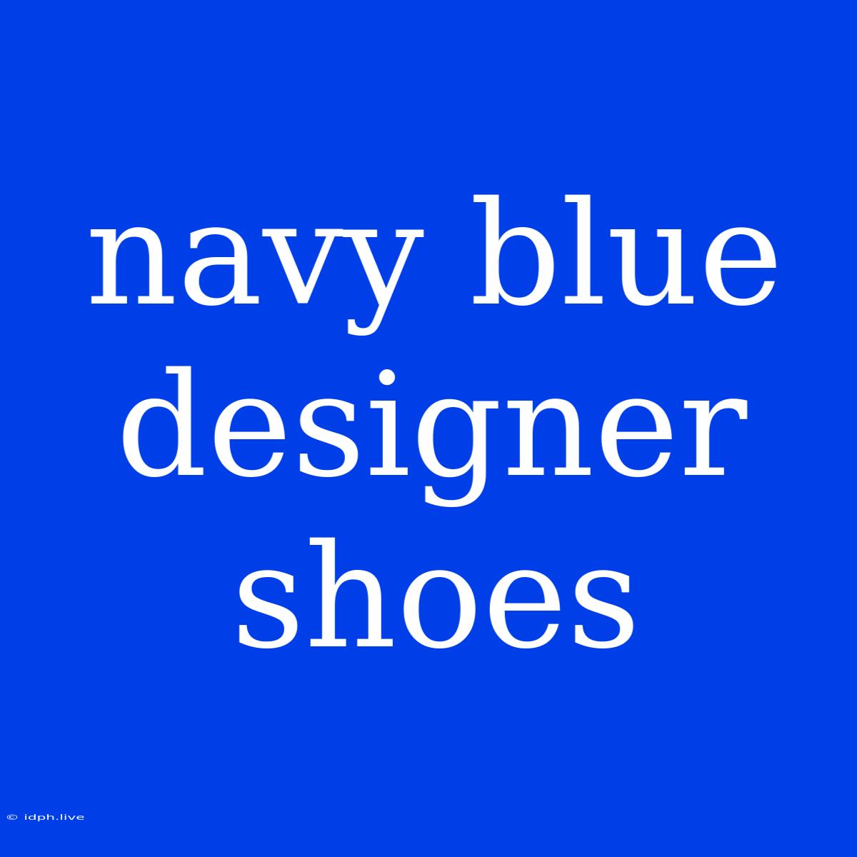 Navy Blue Designer Shoes