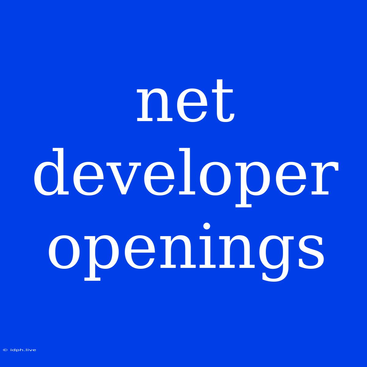 Net Developer Openings