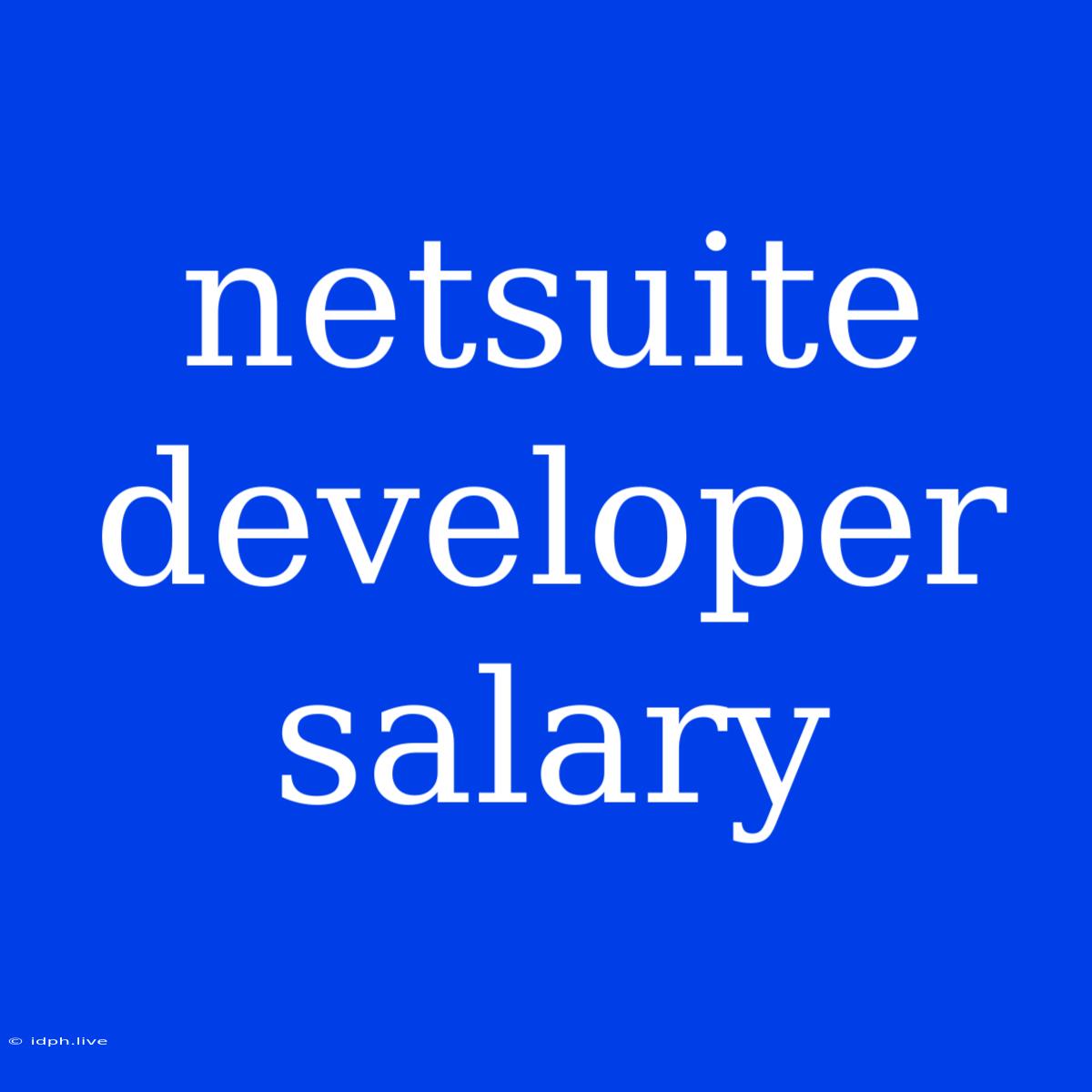 Netsuite Developer Salary