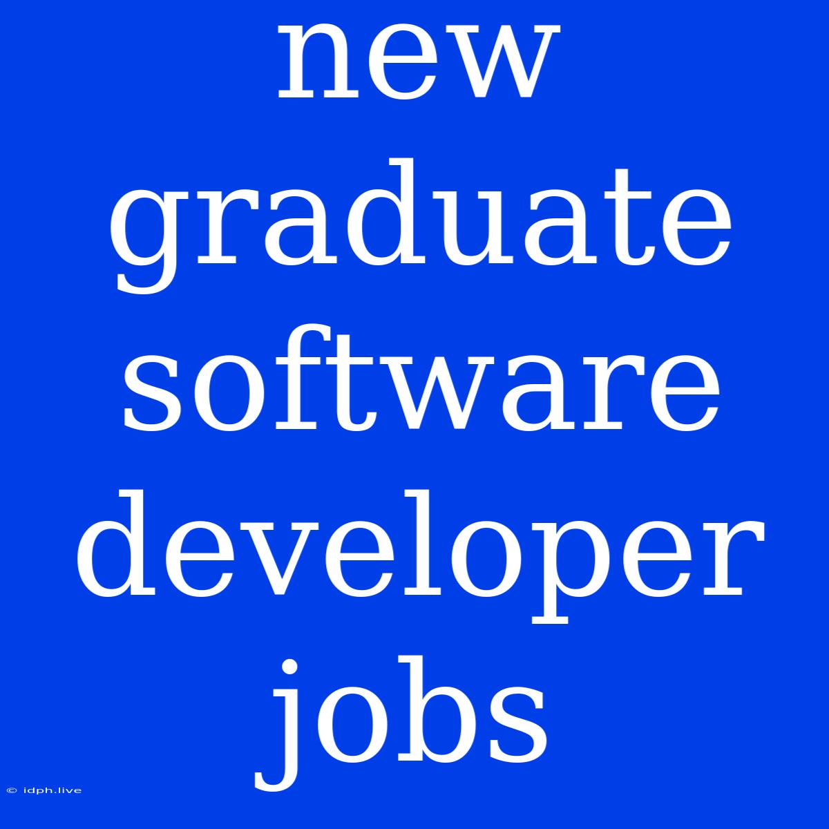 New Graduate Software Developer Jobs