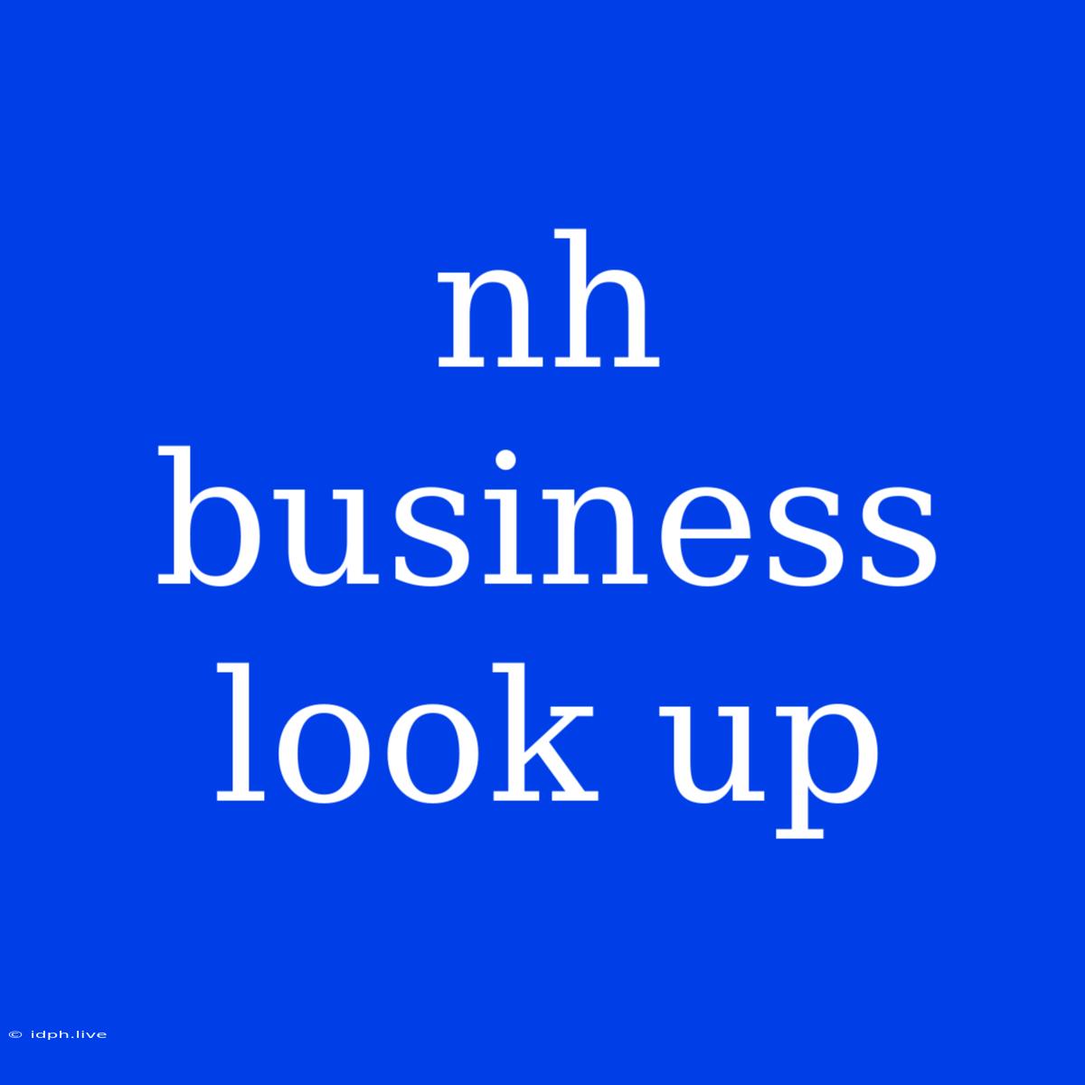 Nh Business Look Up