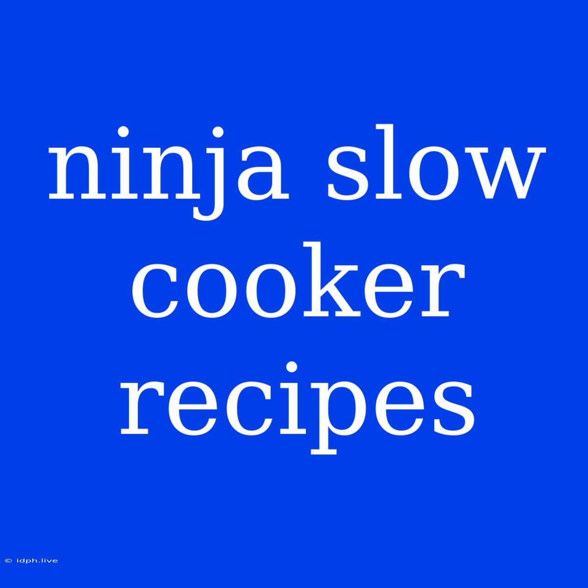 Ninja Slow Cooker Recipes