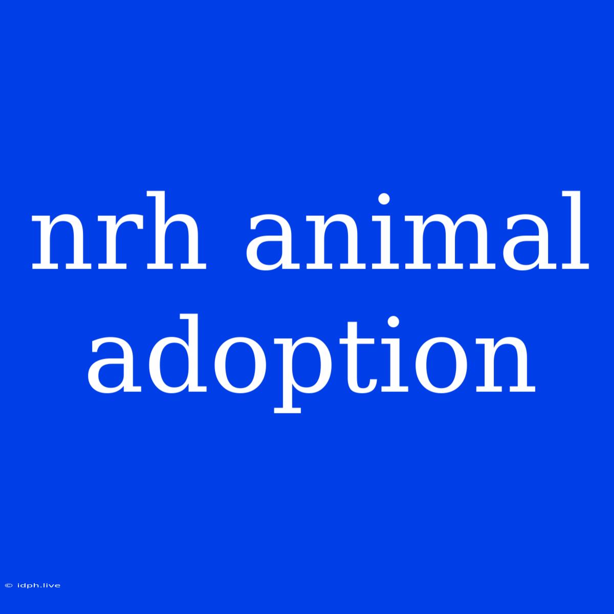 Nrh Animal Adoption