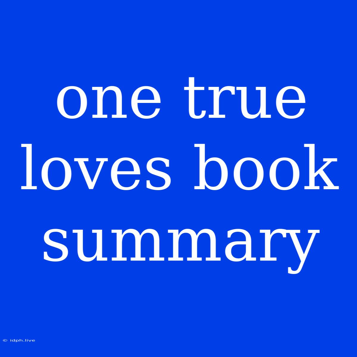 One True Loves Book Summary