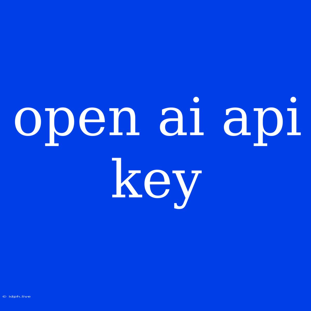 Open Ai Api Key