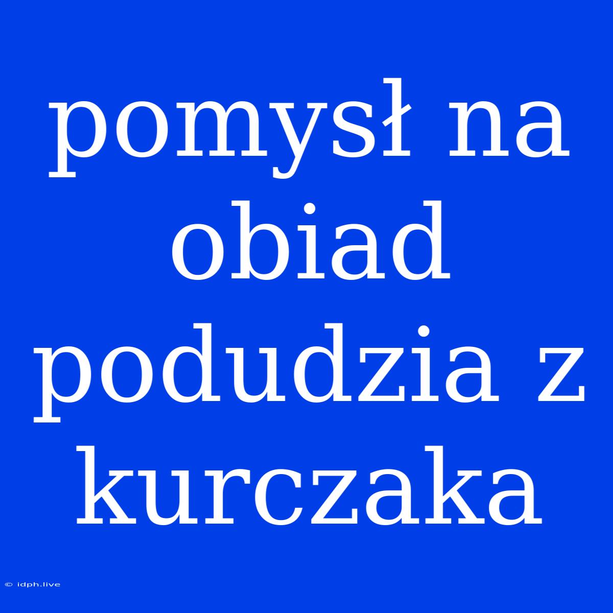 Pomysł Na Obiad Podudzia Z Kurczaka