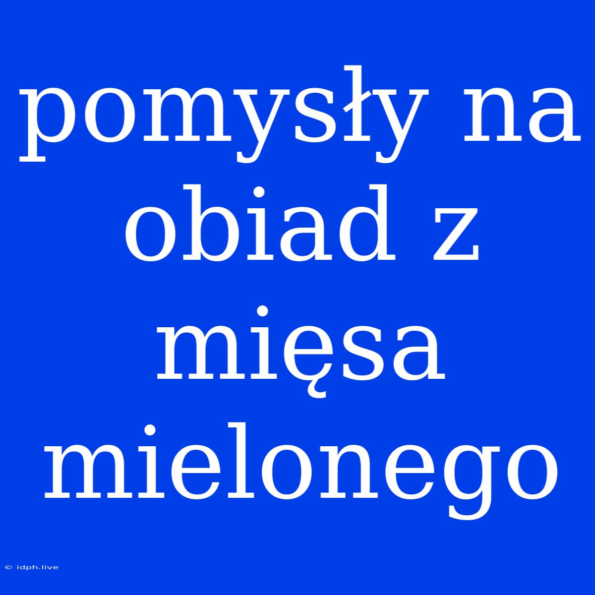 Pomysły Na Obiad Z Mięsa Mielonego